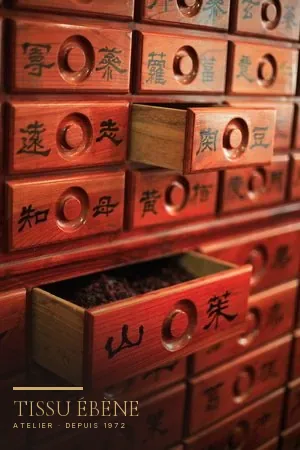 Coffre d'apothicaire asiatique laqué rouge